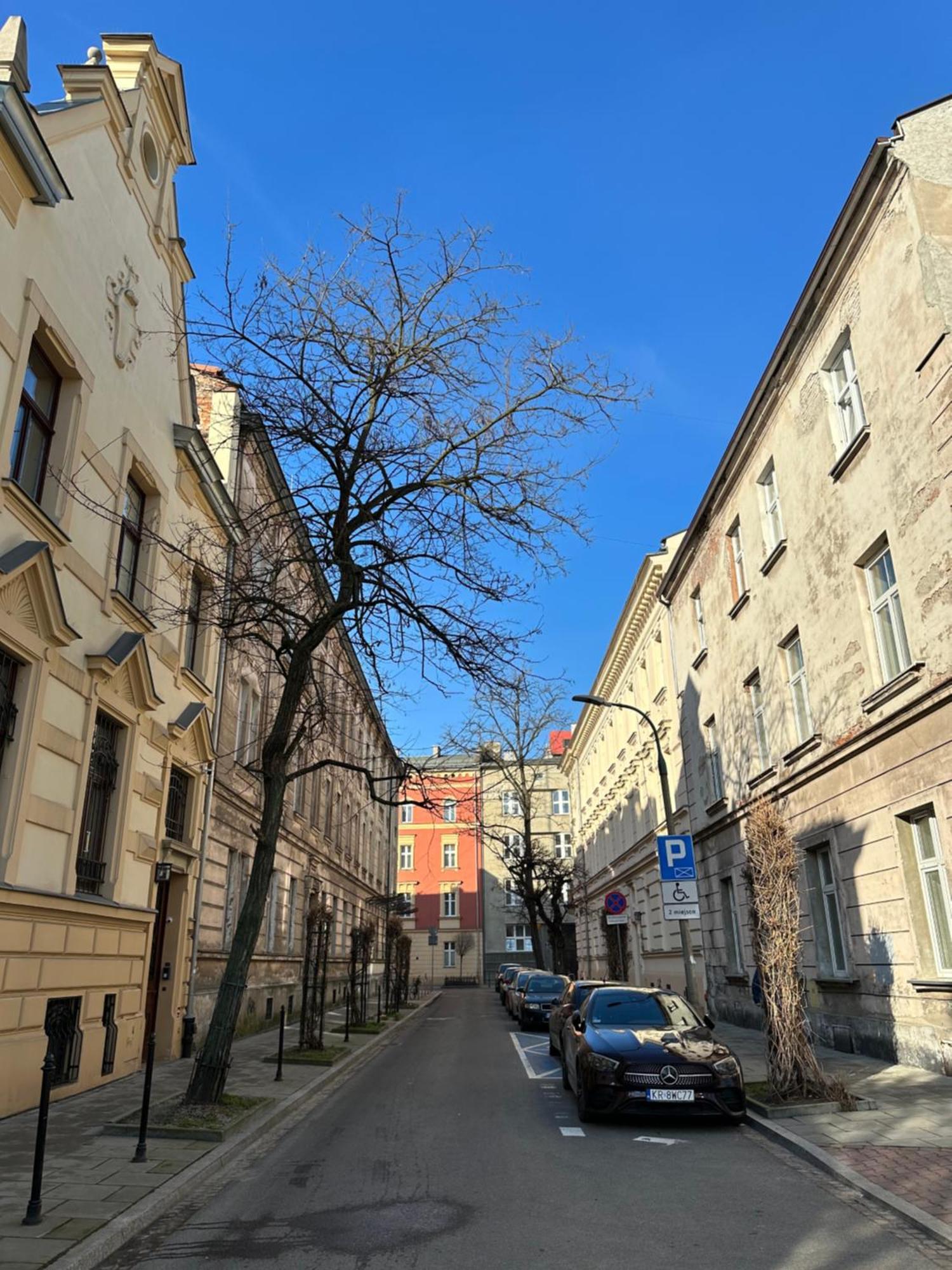 Perfect Place To Stay In Krakow City Center 28M2 W1 Экстерьер фото